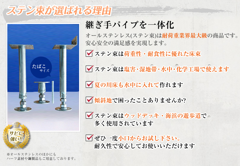 �X�e�����i�X�e�����X���j���I�΂�闝�R